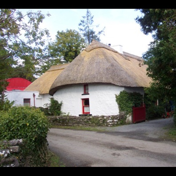 Meet your Posher, Jessie - Picture 1 of 1